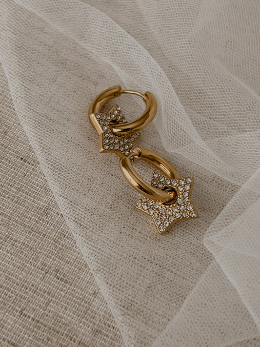 Diana Hoops