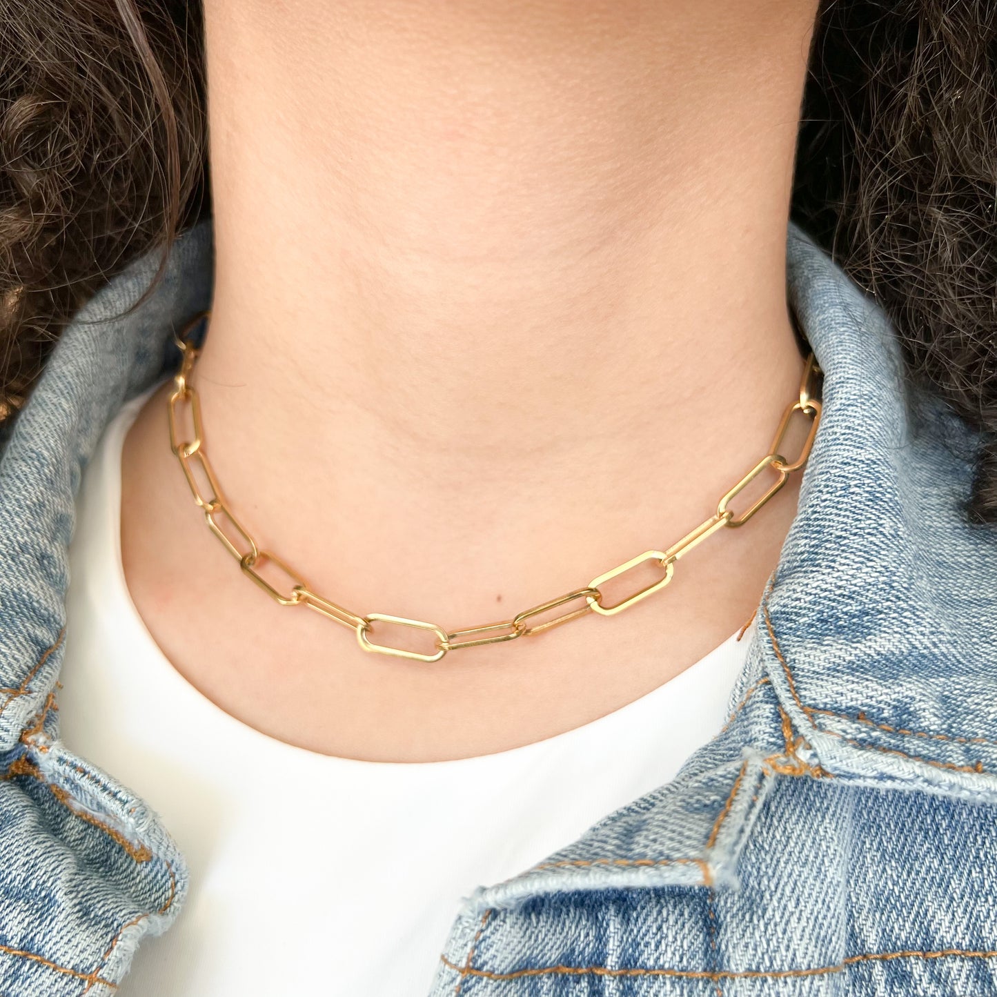 Amy Paper Clip Necklace